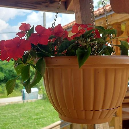 Mini Complex Rilski Terasi Sapareva Bania Exterior foto