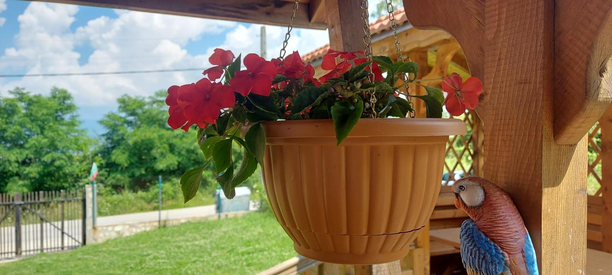 Mini Complex Rilski Terasi Sapareva Bania Exterior foto