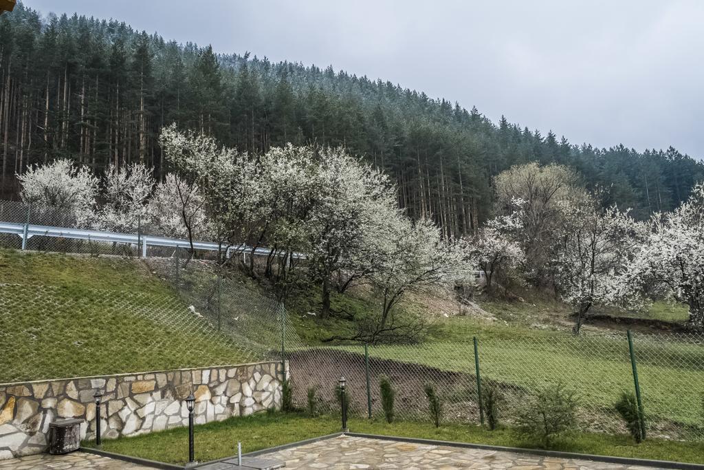Mini Complex Rilski Terasi Sapareva Bania Exterior foto